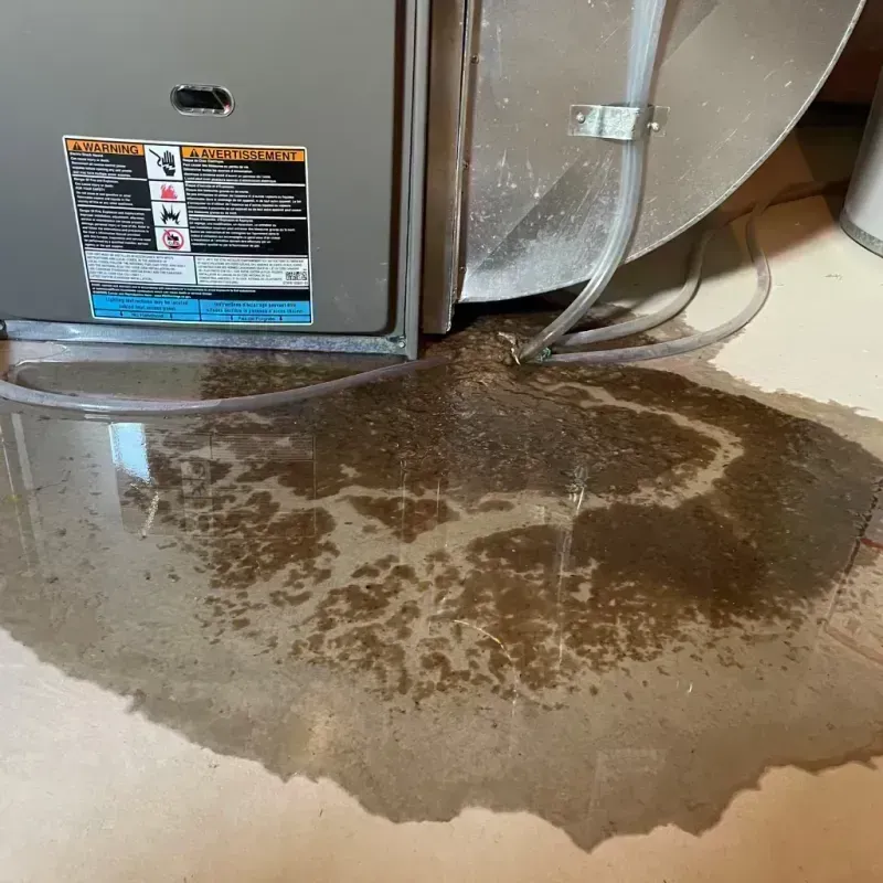 Appliance Leak Cleanup in Warner, OK